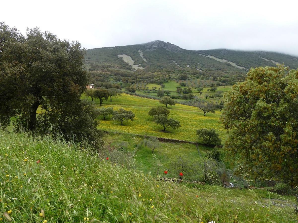 Casa Rural La Colmena Del Geoparque Navatrasierra 外观 照片