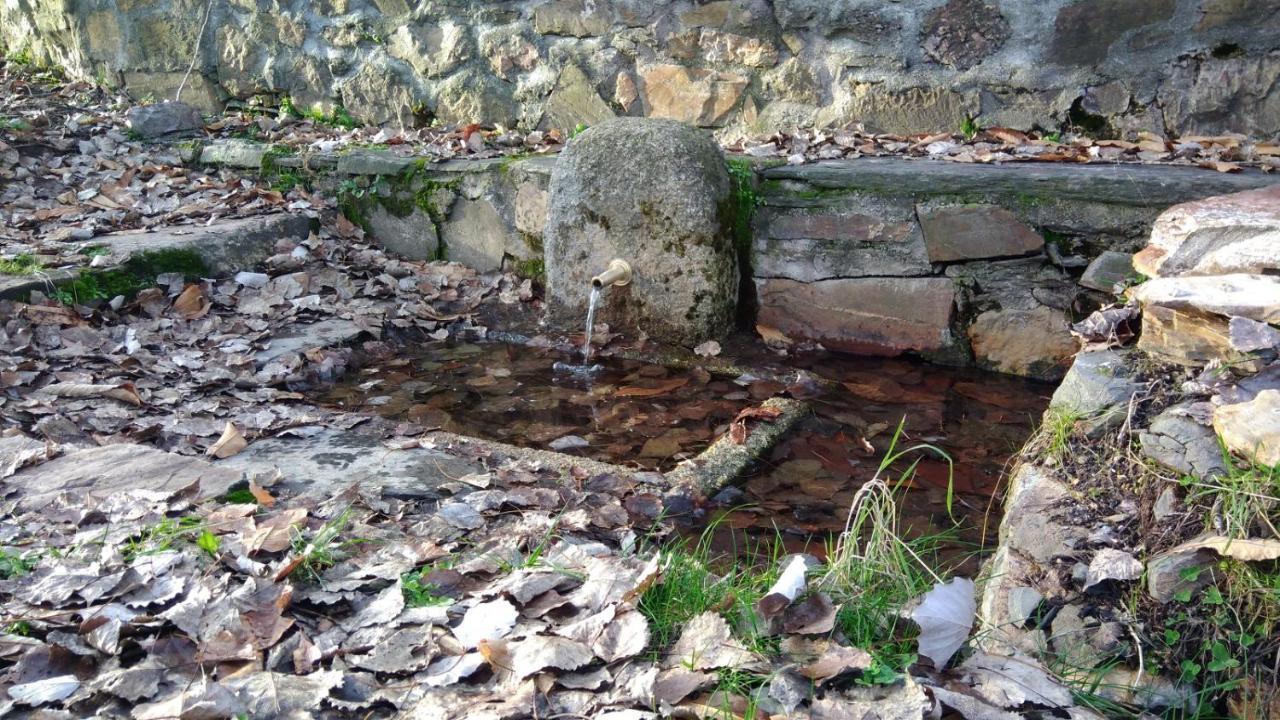 Casa Rural La Colmena Del Geoparque Navatrasierra 外观 照片