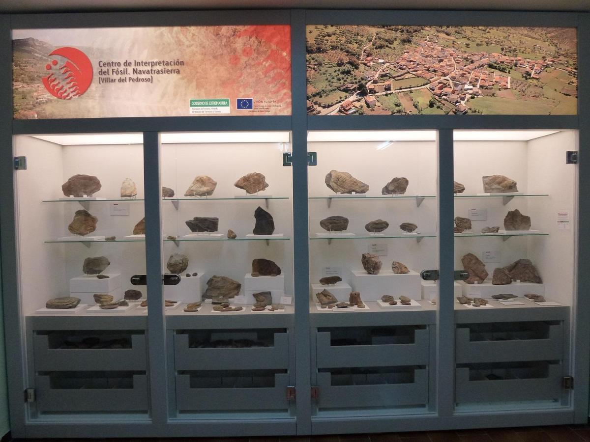 Casa Rural La Colmena Del Geoparque Navatrasierra 外观 照片